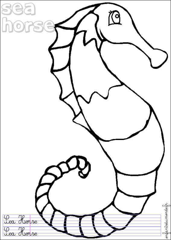 coloriage hippocampe 1